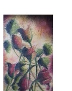 Wyrafinowane    Róże