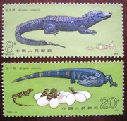 Fauna gady aligator 1871-2 stan ** Chiny 
