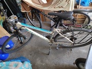 Kross Evado 1.0 L damski