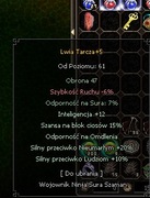 NERWIA AKADEMIA TOP1 TARCZA
