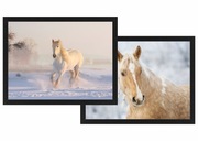 Plakaty obrazy *KONIE* zestaw 2szt. w ramach, wzory