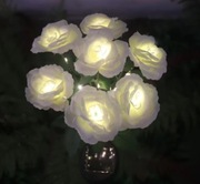 Róża solarna wodoporna pięknie świeci 