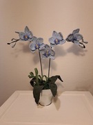 szydełkowe kwiaty - orchidee