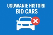 Kasowanie historii auta USA BID,cars
