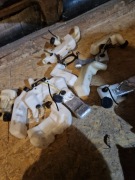 Zbiorniki do kos spalinowych einhell Białe 