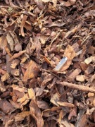 Kora Sosnowa Ogrodowa 60/80L