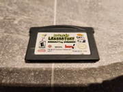 Dexter's Laboratory: Deesaster Strikes!