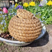 Stary, słomiany garnek, pojemnik z pokrywką