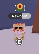 ROBLOX ADOPT ME Lunar Gold Tiger