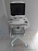USG eZono 4000