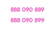 Złote numery para: 888 090 889  i  888 090 899