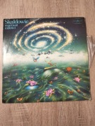 Płyta winylowa Skaldowie 