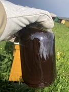 Polski Miód Spadziowy Iglasty Góry Świętokrzyskie