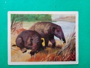 Naklejki do albumu w stylu Panini - PREHISTORIA dinozaury ewolucja # 100
