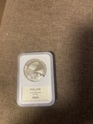 Piękna moneta 20zl 2008r Sokół wędrowny