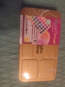 Profesjonalny zestaw malarski