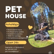 Hotel dla psów opieka nad psami Kielce 