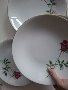 5 głębokich talerzy Bavaria