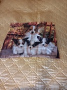 Pościel bawełniana satynowa 