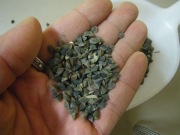 wyka ziarno ekologiczne 29 kg w łusce na siew z certyfikatem