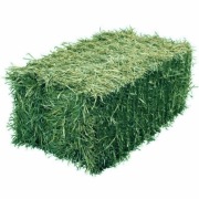 sianko dla królików gryzoni itp. zwierząt 