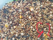 Karma dla gołębi nr 2 20kg 