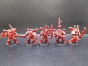 Warhammer Chaos Space Marines stare modele unikaty