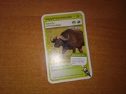 Najwytrzymalsze Bawół Afrykański nr 13 quiz Super Zwierzaki Biedronka