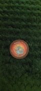 Kapsel Pokemon Smok Tazo2 Tazo - 1 sztuka
