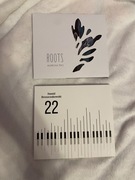 Płyta CD Roots Amirova Trio + 22 Dawid Broszczakowski
