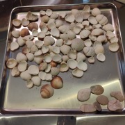 97 muszelek i kamyczków z Bałtyku – naturalne, surowe, dekoracyjne