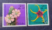Znaczki POLSKA -  KWIATY,  FLORYSTYKA,  KAKTUS  z 1981 roku