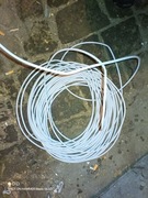 Przewód UTP 4x2x0,5losh VAT.5