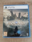Dziedzictwo Hogwartu PS5 Hogwarts Legacy Hogwart