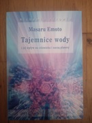 Masaru Emoto - Tajemnice wody i jej wpływ na człowieka i naszą planetę