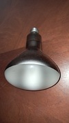 Żarówka lampa UV 300W NARVA Solarium