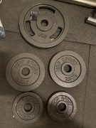 Obciążenia żeliwne 31mm otwór 2x5kg, 2x2,5kg 2x1.25kg