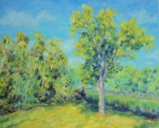 Olej/płótno 40x50.
