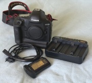 Canon EOS 1D X – profesjonalny korpus w świetnym stanie