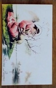 Vintage retro stara pocztówka kartka pocztowa wielkanocna  Buona Pasqua