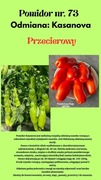 Nasiona Pomidorów Kasanova 