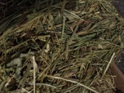 Super  grube i długie sianko mix traw z tymotką  4kg