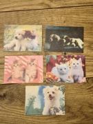 Zestaw karteczek kolekcjonerskich notesowych A7