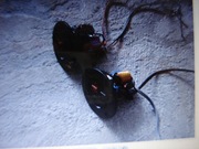 ZWROTNICE  DWODROZNE   DO   GLOSNIKOW  VIFA  D  19  I  C 17  W 56