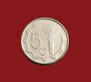 Moneta 5 centów 2012, Namibia