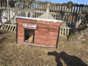 Buda dla psa z kurtyną