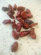 Habanero Red dehydratyzowane