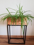 Kwietnik, rozmiary i kolory na zamówienie