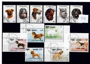 Tanzania, Kambodża. PSY (62)