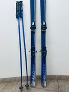 narty Salomon XFREE7 173, wiązania Tyrolia, kijki cross + pokrowiec